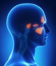 Nasal and Sinus Management