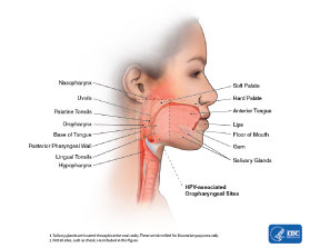 Screening, Diagnosis and Management of Head & Neck Malignancies